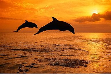 《微软飞行模拟》世界更新6延期2周 9月7日上线